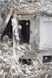 Building Demolition