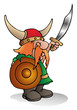 viking