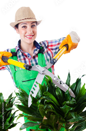Photo: Woman gardener with shears on white Woman gardener with shears on white