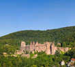 Heidelberger Schloss