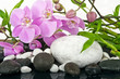 Wellness Concept: orchids, bamboo, stone, water