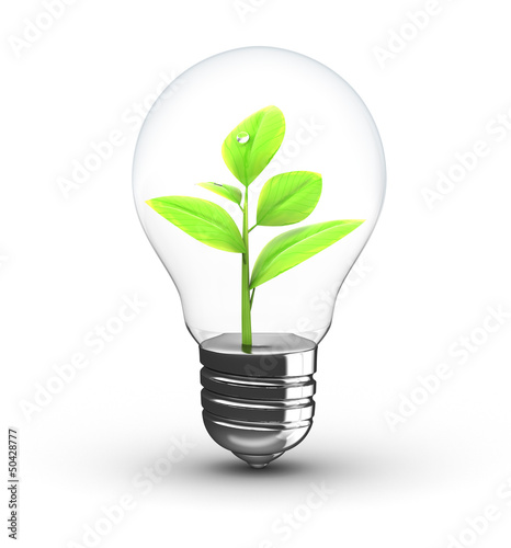 Illustration: plant inside bulb plant inside bulb