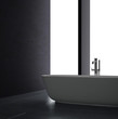 Interior of Luxurious Black Design Bath Room