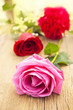 romance and roses