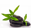 Wellness Concept:  bamboo and black stones