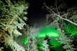 Star trails and Northern lights in sky over taiga