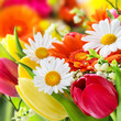 Frühling