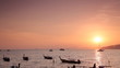 Many anchored boats on the sea with sunset behind