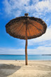 Photo: Parasol Parasol