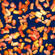 bacteria background render