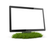Computer Monitor in grass