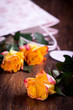 Roses in a beautiful package