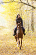 equestrian on horseback in autumnal nature