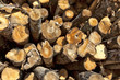 Photo: Firewood log ends Firewood log ends