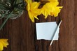hintergrund holz zettel stift II