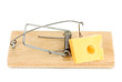 Mousetrap with cheese isolated on white