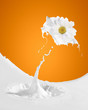 Image of milk splashes