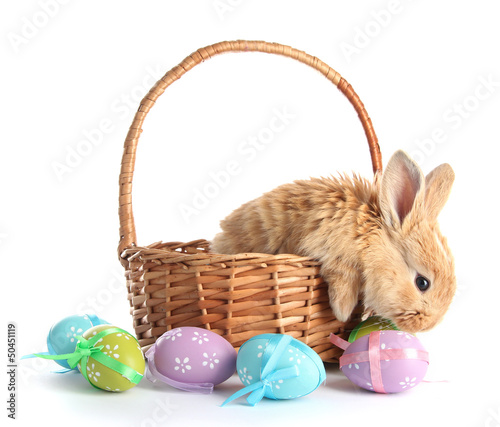 Photo: Fluffy foxy rabbit in basket with Easter eggs isolated on white Fluffy foxy rabbit in basket with Easter eggs isolated on white