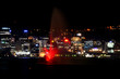 Wellington Cityscape