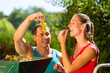 Woman and man working with grape harvesting machine