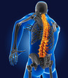 3D medical man with skeleton