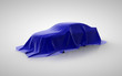 car presentation