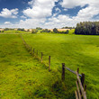 Weideland Wiese Weidezaun ländliche Idylle