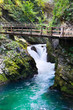 Vintgar canyon