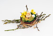 duckling with egg in wicker basket