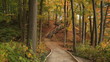 Forest path with wooden stairs in the distance.