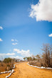 Savana road