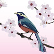Bird sitting on the branch almond with flower