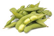 Photo: Edamame Beans; Non sharpened file Edamame Beans; Non sharpened file
