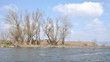 Flora and fauna at Lake Balaton,Hungary