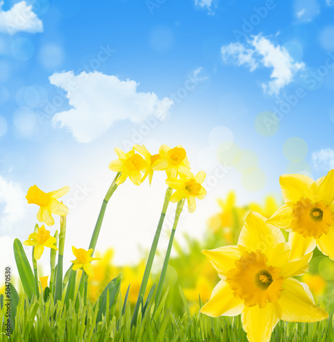 Photo: sommertag sommertag