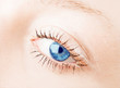 Human blue eye. macro shooting