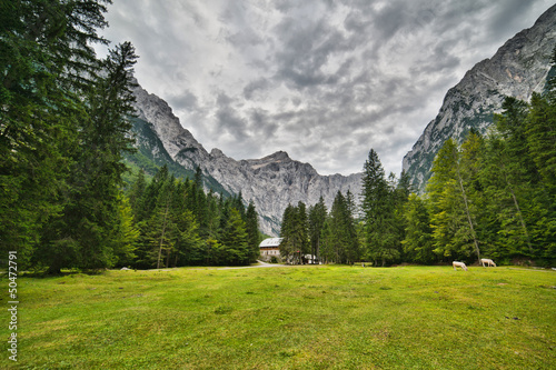 Photo: Triglav - the highest mountain of Julian Alps Triglav - the highest mountain of Julian Alps