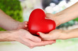 Red heart in woman and man hands, on green background