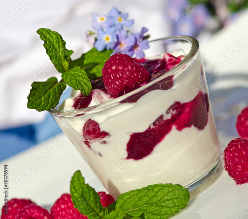 Photo: Sommer-Genuss: Joghurt mit Himbeeren und Minze Sommer-Genuss: Joghurt mit Himbeeren und Minze