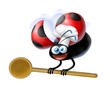 Illustration: coccinella cuoco coccinella cuoco