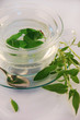 Foto: Salbeitee Salbeitee