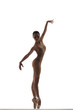 the dancer