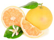 Grapefruit and flower.