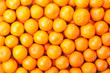 Photo: Tangerines as the background Tangerines as the background