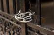 Cadena Con Candado.