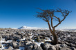 Beautiful scene in the Yorkshire Dales,across to Ingleborough