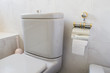 Toilet gray and toilet paper