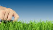 Cutting the grass with scissors
