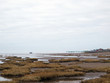 Pier
