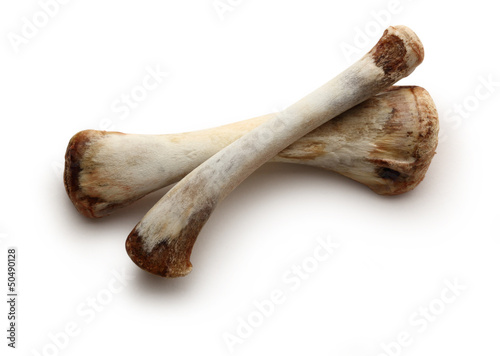 Photo: Chicken bones on white background Chicken bones on white background